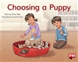 Choosing a Puppy