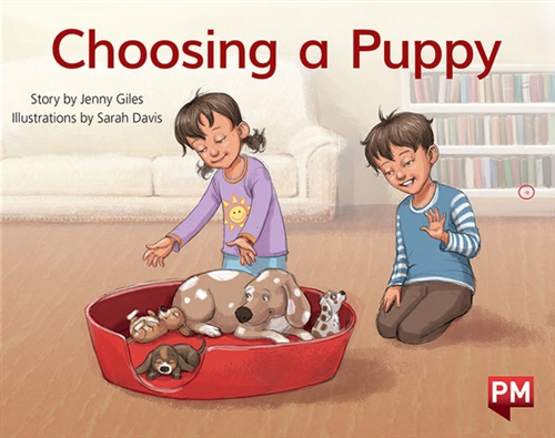 Picture of  Choosing a Puppy