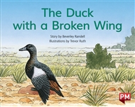 The Duck with the Broken Wing - 9780170394734