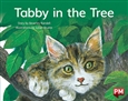 Tabby in the Tree