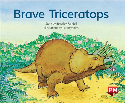 Picture of  Brave Triceratops