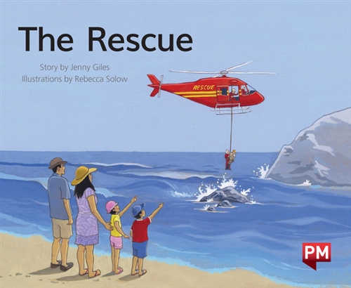 Picture of  The Rescue