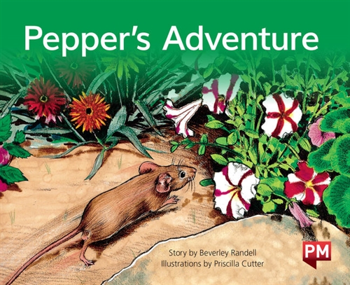 Picture of  Pepper's Adventure