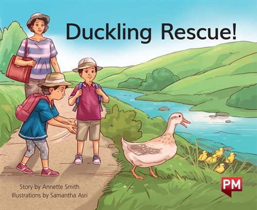Picture of  Duckling Rescue