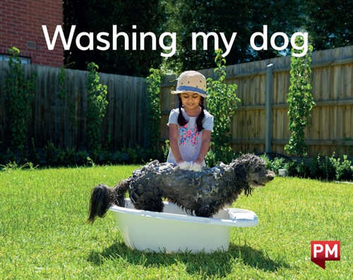 Picture of  Washing my dog