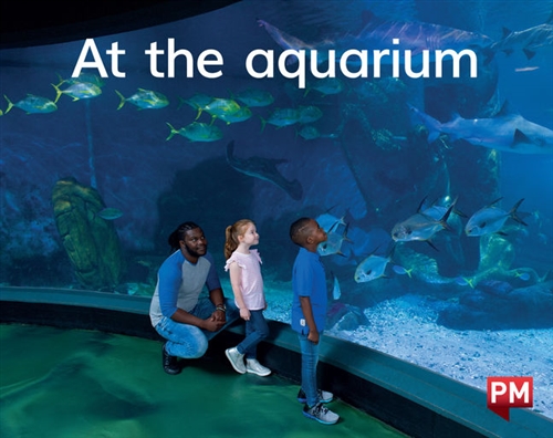 Picture of  At the aquarium