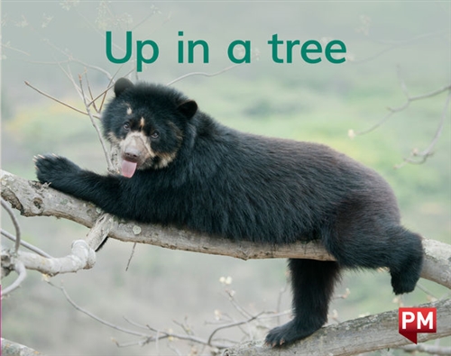 Picture of  Up in a tree