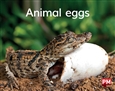 Animal eggs