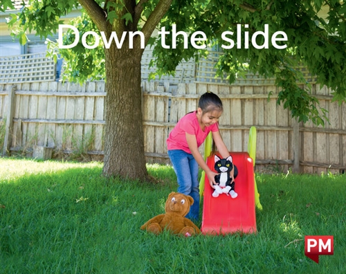 Picture of  Down the slide