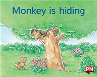 Monkey is hiding
