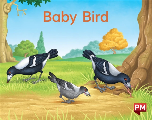 Picture of  Baby Bird