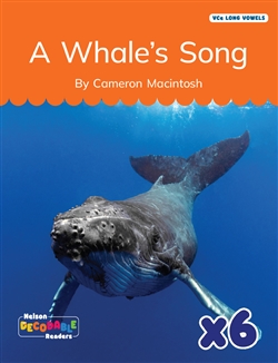A Whale's Song x 6 (VCe Long Vowels) - 9780170487726