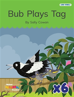 Bub Plays Tag x 6 (Long Vowels Alternative Spellings) - 9780170487757