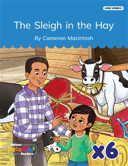 The Sleigh in the Hay x 6 (Long Vowels Alternative Spellings) - 9780170487771