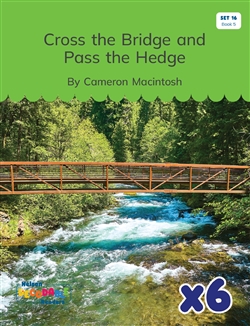 Cross the Bridge and Pass the Hedge x 6 (Set 16, Book 5) - 9780170488174