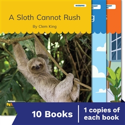 Nelson Decodable Readers Digraphs/Consonant Blending Set Pack x10 - 9780170488587