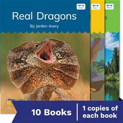 Nelson Decodable Readers Set 18 Syllable Division Set Pack x 10 - 9780170488662