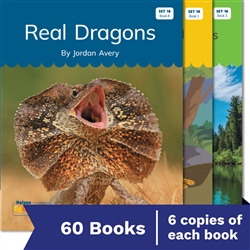 Nelson Decodable Readers Set 18 Syllable Division Small Group Pack X 60 - 9780170488778