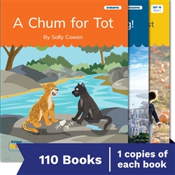 Nelson Decodable Readers Sets 15-20 + Supplemental pack x110 - 9780170488808