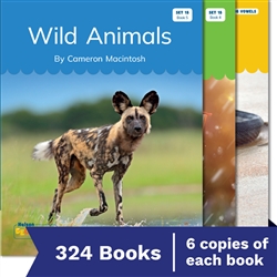 Nelson Decodable Readers Sets 15-20 + Supplemental Non-Fiction Pack x324 - 9780170488839