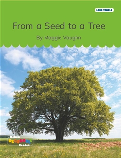 From a Seed to a Tree (Long Vowels Alternative Spellings) - 9780170502221