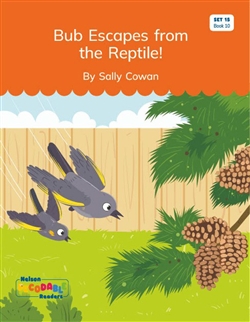 Bub Escapes from the Reptile! (Set 15, Book 10) - 9780170502535