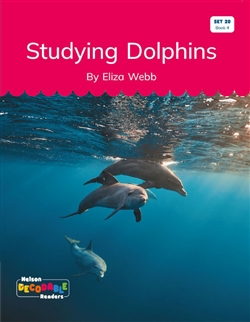 Studying Dolphins (Set 20, Book 4) - 9780170502979