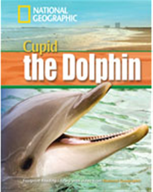 Picture of  A Dolphin Named Cupid : Footprint Reading Library 1600