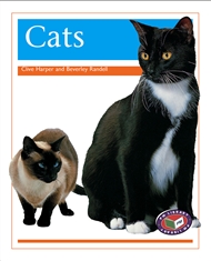 Cats - Buy Book | Non-Fiction | 9781869556907 | Primary | Nelson Australia