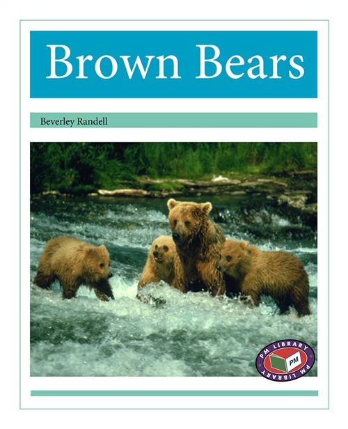 Picture of Brown Bears