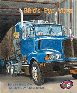 Bird's Eye View - 9781869611071