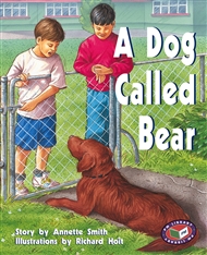 A Dog Called Bear - Buy Book | Matthew | 9781869612511 | Primary ...