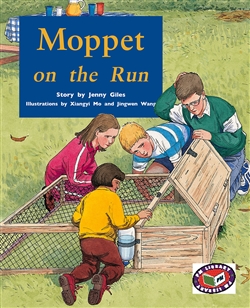 Moppet on the Run - 9781869612542