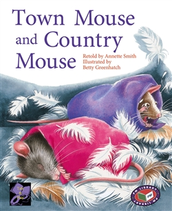 Town Mouse and Country Mouse - 9781869612788