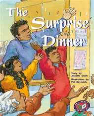 The Surprise Dinner - 9781869612856