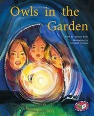 Owls in the Garden - Buy Book | Fiction | 9781869612986 | Primary