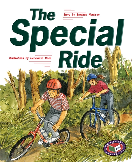 Picture of  The Special Ride