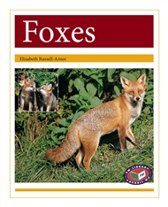 Foxes - 9781869613105
