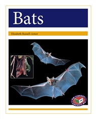 Bats - 9781869613143