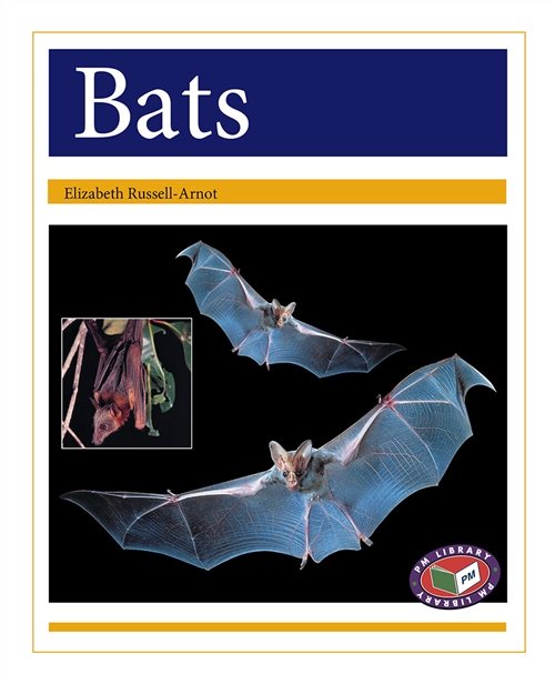 Picture of  Bats