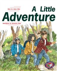 A Little Adventure - 9781869613501