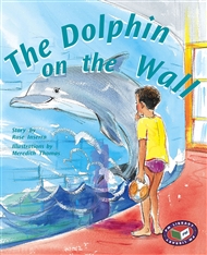 The Dolphin on the Wall - 9781869613655