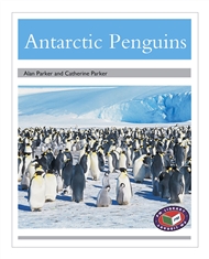 Antarctic Penguins - 9781869613808